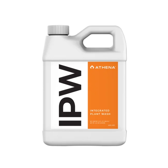 Athena IPW