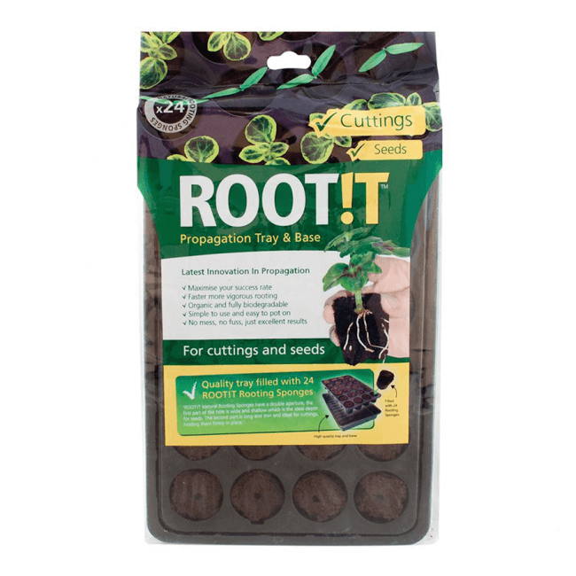 ROOT!T Natural Rooting Sponge Tray mit 24 Stk.