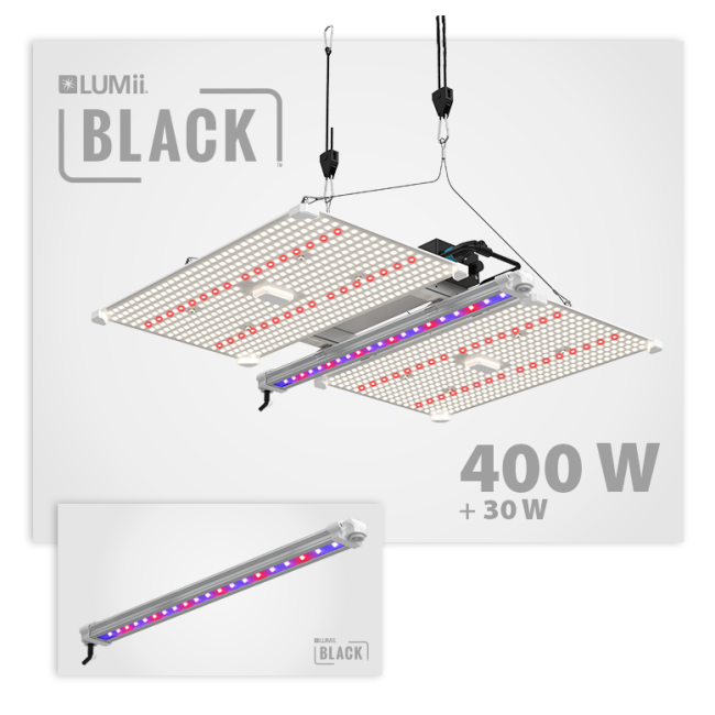 Lumii Black Blade 400W LED und 30W UV/FR LED-Leiste im Bundle